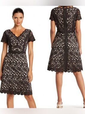 FOCUS by Shani — V-Neck Laser Cut Fit & Flare Dress in Black size 8 NWT